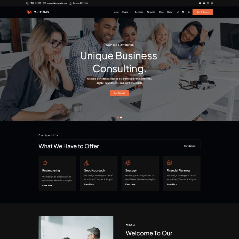 WordPress Theme -Multiplex Pro